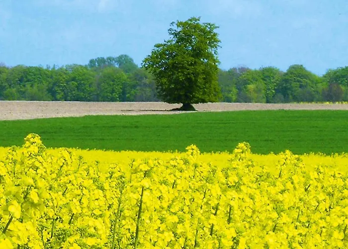 Apartmán Ferienwohnung, *